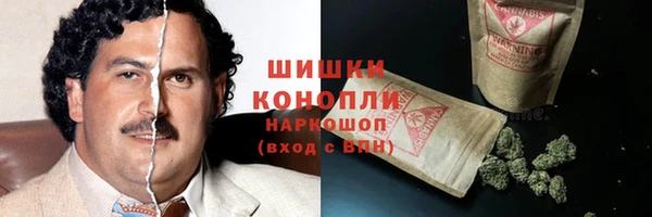 крисы Бугульма